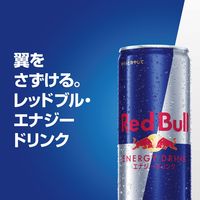 Ｒｅｄ　Ｂｕｌｌ　レッドブル　エナジードリンク　1セット（6缶）