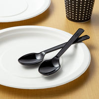 PCスプーン　ブラック　1箱（3000本：100本入×30袋）