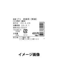 ブラザー プレカット紙ラベル 40mm×60mm RD-U06J1