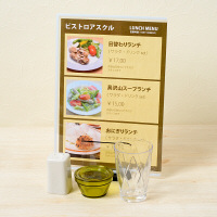 プラス　カードケース　ハードタイプ（再生PET仕様）　A4　215×305mm　薄型　34464