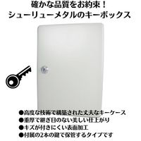 【キーボックス】しゅうりゅうメタル シューリューメタル キーケース 10個吊 KB-10S 1セット
