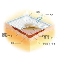 白十字 モイスキンパッド7520 滅菌済 7.5×20cm 19081 1箱（30枚入）