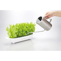 ミクニ　ミスティガーデン 2nd（G)　U602-01