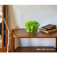 ミクニ　ミスティガーデン 2nd 交換フィルター（G)　U60E-05