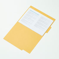 コクヨ オープン個別フォルダー A4 A4-LIFN 1冊