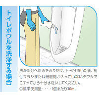 酸性トイレクリーナー 1箱（12本入）