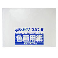 大王製紙　色画用紙　四切　ゆき　A-49　1袋（10枚入）