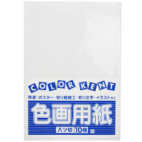 大王製紙　色画用紙　八切　ゆき　A-49　1袋（10枚入）