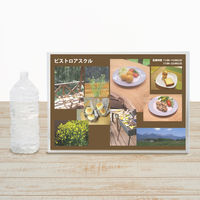 プラス カードケース ハード B3 PC-213C 1枚