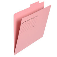 プラス 個別フォルダーエコノミー A4E ピンク FL-081IF 1パック(10枚入)