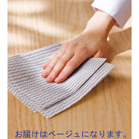 抗菌 カウンタークロス レギュラー ベージュ レーヨン100% 約30×60cm 1パック（100枚入）（直送品）