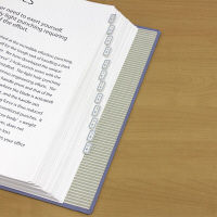 プラス Fインデックス ブルー 横25×縦17mm FI-101BL 1パック（160片入）（直送品）