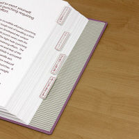 プラス Fインデックス レッド 横34×縦55mm FI-104RD 1パック（40片入）（直送品）