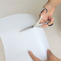 プラス ステンレスハサミ NO.165 ブラック BK 1個（直送品）