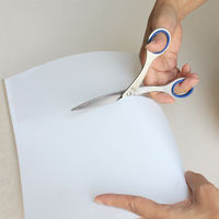 プラス ステンレスハサミ NO.165 ブルー BL 1個（直送品）