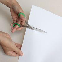 プラス ステンレスハサミ 左きき用 NO.165L 1個（直送品）