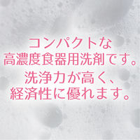 スーパーサラセン（C-4） 業務用4kg 1箱（4本入）