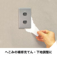 セメダイン へこみの補修・下地調整材 穴埋めパテ ホワイト 200g HJ-111 1個