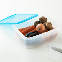 岩崎工業 タフキーパー L 1個 食洗機対応保存容器 B-1884TB