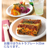 ペーパーウェア ウルトラプレート 22cm U-9R 1セット（300枚：100枚入×3袋）