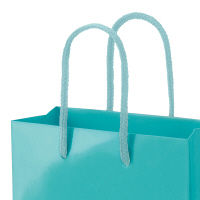 手提げ紙袋小物用　丸紐　アクアブルー　L　1袋（5枚入）　ハピラ