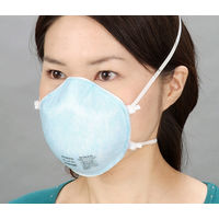 【防塵マスク】 興研 Hi-Luck（ハイラック） 使い捨て式防じんマスクDS2 350 1箱（10枚入）