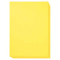 アスクル　カラーペーパー　A4　イエロー　1箱（500枚×10冊入）  オリジナル