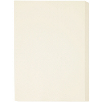 アスクル　カラーペーパー　A4　アイボリー　1箱（500枚×10冊入）  オリジナル