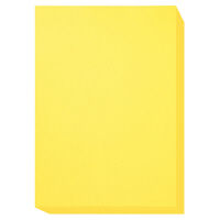 アスクル　カラーペーパー　B4　イエロー　1箱（500枚×5冊入）  オリジナル