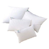 篠原化学 フォスフレイクス枕 35×50cm FOSS-3550 1個