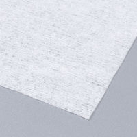 からだふき　ウェットタオル【ウェット】濡れタオル 介護用ウェットタオル バケツタイプ 本体 1個（300枚入） 昭和紙工