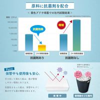 ペーパータオル ネオテックス（抗菌） 150組 ダブル 中判