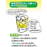 【アウトレット】日本サンガリア サンガリア サンサワー レモン 1000ml 1セット（3本）