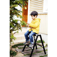 長谷川工業 ハセガワ 踏み台 強力型 60cm ブラック SK2.006BK 1台