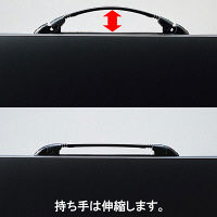 リヒトラブ(LIHIT LAB.) ポートフォリオ・ナスカフレックス A2 F914