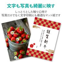 エレコム ビジネス用マット紙 インクジェット・レーザー・コピー対応 A4 薄手 片面 100枚入 EJK-MHA4100 1個