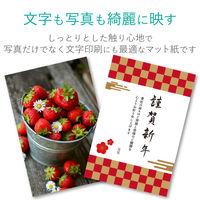 エレコム ビジネス用マット紙 インクジェット・レーザー・コピー対応 A4 薄手 片面 250枚入 EJK-MHA4250 1個