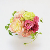 プリマ ピオニーピンク PRAS-0270 プリマ（直送品）