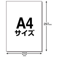 エレコム ラベルシール 宛名ラベル きれい貼 フリーカット ノーカット２０枚 EDT-FKEXM 1袋（20枚）（直送品）