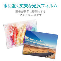 エレコム 耐水フォトシール インクジェット 耐水光沢フィルム はがきサイズ 80枚（16面×5シート入） EDT-PS16 1個
