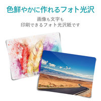 エレコム ハガキ用シール/プリクラシール/4面×5 EDT-PSK4 1個