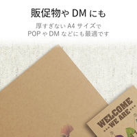エレコム クラフト紙/薄手/A4/50枚 EJK-KRA450 1個（直送品）