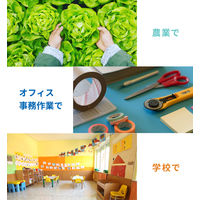 エー・アンド・デイ コンパレータライト付きデジタルはかり HT-5000CL 1台