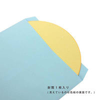 丸型色紙 無地 EM-MU06 5枚 エヒメ紙工（直送品）