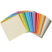 タントおりがみ15cm100枚 TAN100-650 1セット（200枚：100枚入り×2個） エヒメ紙工（直送品）