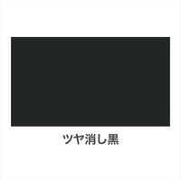 アサヒペン 高耐久ラッカースプレー 300mL （ツヤ消し黒） 901535（直送品）
