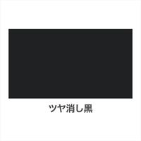 アサヒペン アスペンラッカースプレーツヤ消し黒 9010062 1本