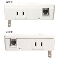 サンワサプライ 高性能雷ガード対応電源タップ ホワイト 2P式/2個口/高性能雷ガード対応（AC・TEL） TAP-SPTEL2N（直送品）
