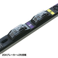 サンワサプライ サーバーラック用コンセント 19インチ用 IEC C13/12個口/3m/200V・30A TAP-SV23012（直送品）