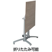 タカショー エコフィックス テーブル120x80 ムーングレー 幅1200×奥行800×高さ720mm GRS-T09MG 1台（直送品）